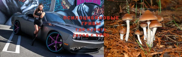 2c-b Бугульма