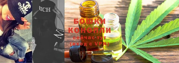 Альфа ПВП Бородино