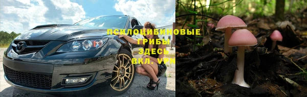 Альфа ПВП Бородино