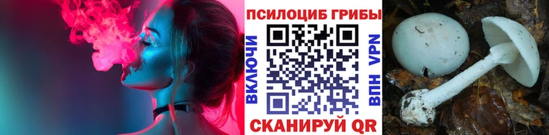 Купить где  Княгинино  Псилоцибиновые грибы GOLDEN TEACHER 
